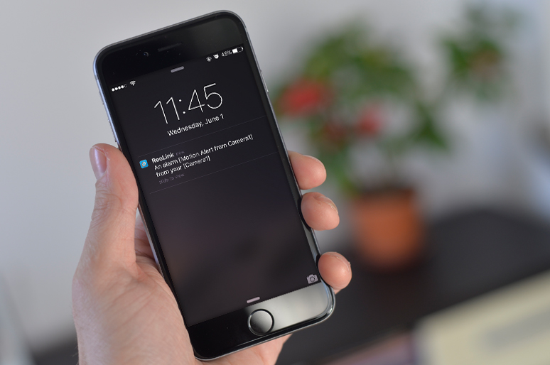 Cámaras de seguridad con alertas en tiempo real: ¿cómo configurarlas?